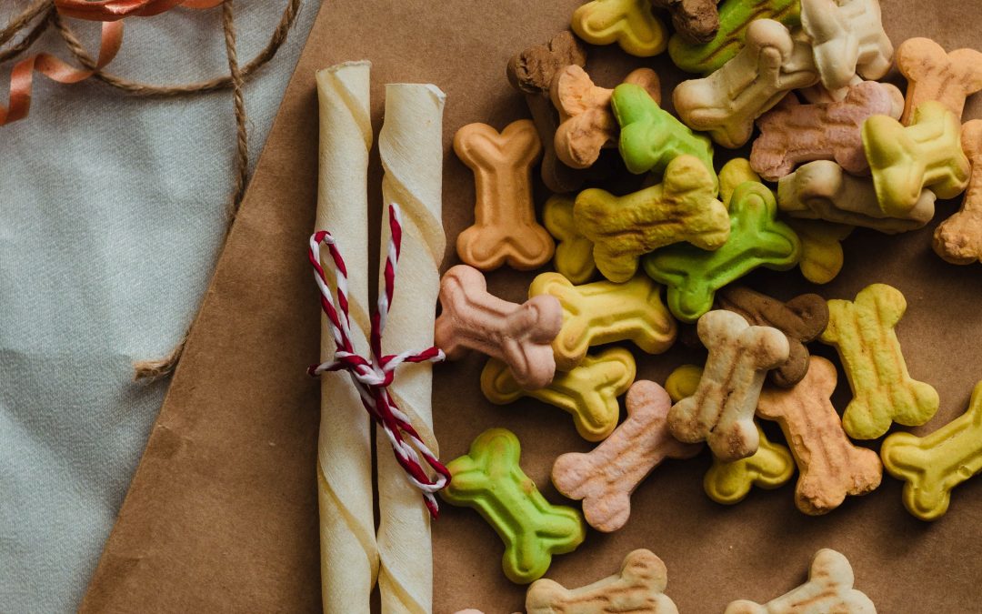 10 Essential Pet Supplies for New Owners to Thrive